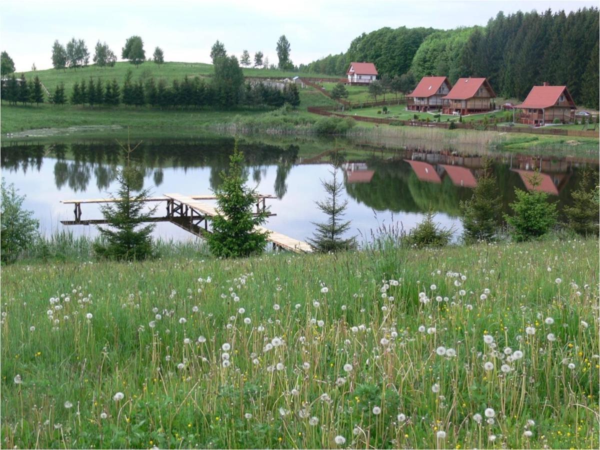 Mieszkanie Nad Jeziorem Rydzowka+Prywatny Staw+Plaza+Mazury Srokowo Kültér fotó